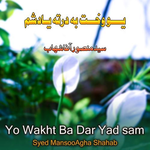 Yo Wakht Ba Dar Yad sam