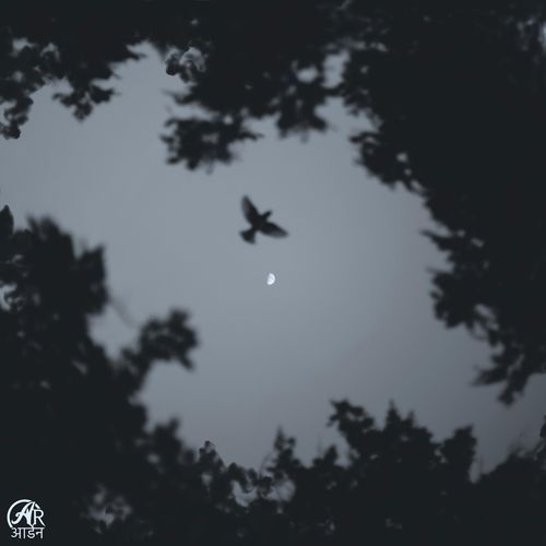 quiet orbit / early departures