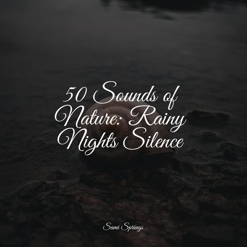 50 Sounds of Nature: Rainy Nights Silence_poster_image