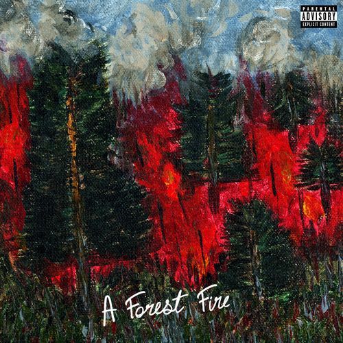 A Forest Fire_poster_image