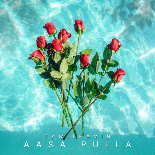 Aasa Pulla