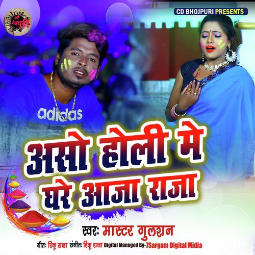Aaso Holi Me Ghare Aaja Raja - Single