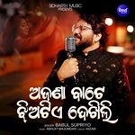 Ajana Bate Jhiatie Dekhili