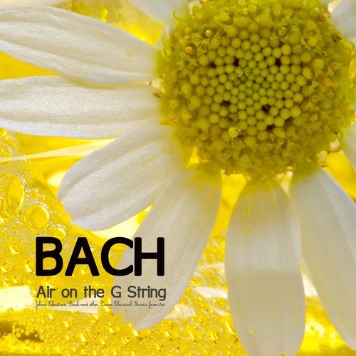 Bach Music Consort for the Heart