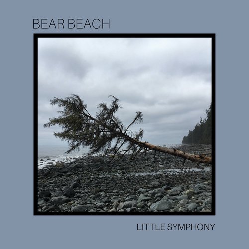 Bear Beach