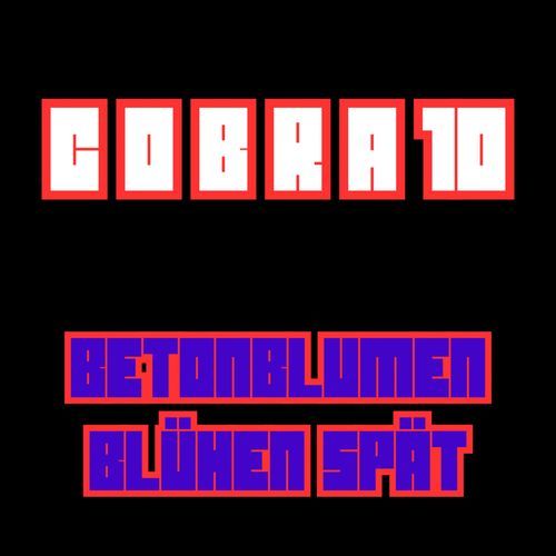Betonblumen Blühen Spät cover art
