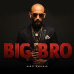 Big Bro artwork