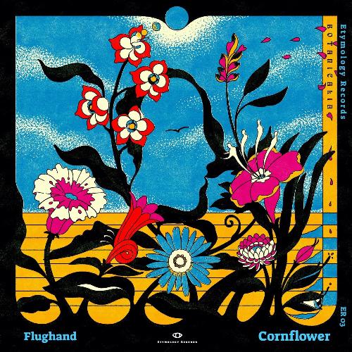 Cornflower cover art