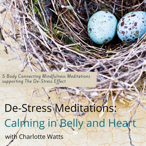 Nourishing the Heart cover art