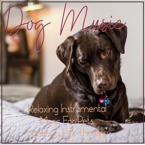 Dog Music : Relaxing Instrumental Music For Pets, Soothing Pet Therapy