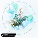 Dreamer (feat. Ane Flem)