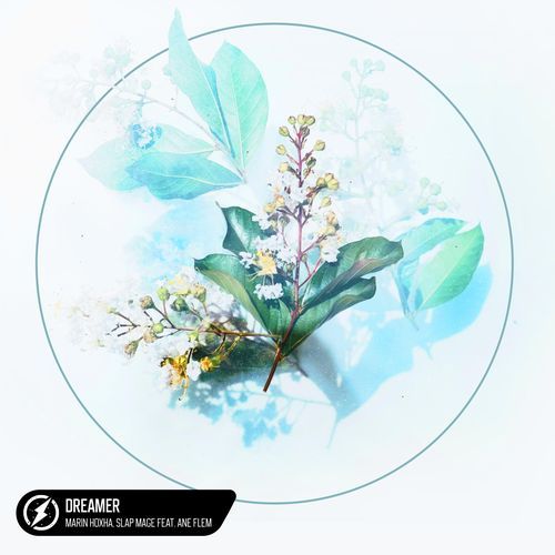 Dreamer (feat. Ane Flem)