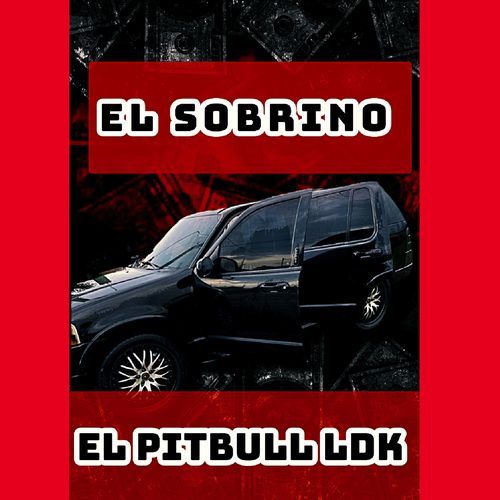 El Sobrino_poster_image