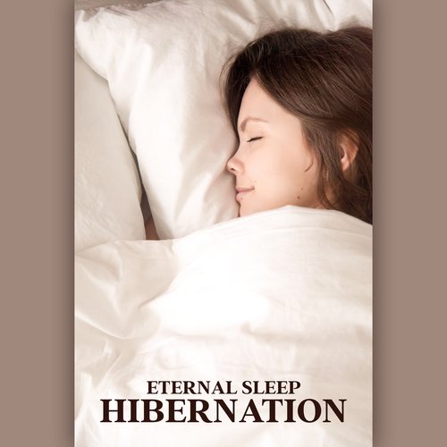 Eternal Sleep Hibernation:  Cure Sleeplessness, Calming Sounds for Night Routine