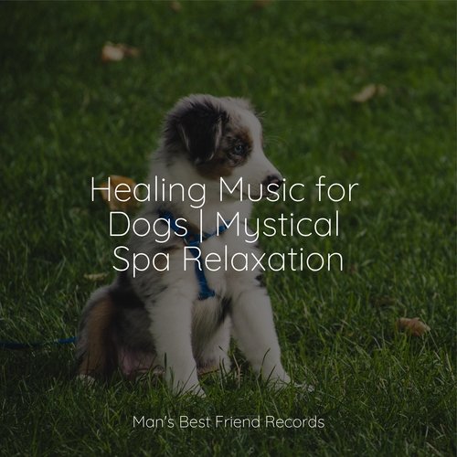 Healing Music for Dogs | Mystical Spa Relaxation_poster_image