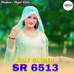 Kaif Singer SR 6513