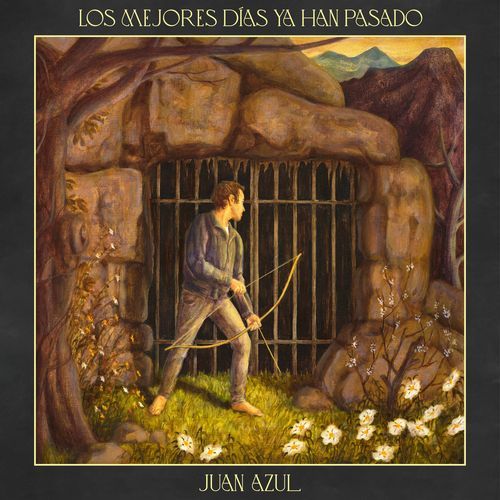 El valle de las muñecas cover art