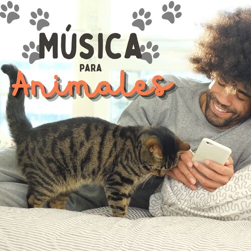 Cobayas Relajadas cover art