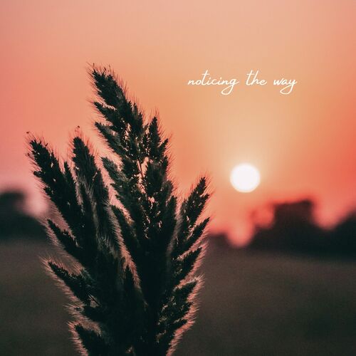 Noticing The Way cover art