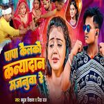 Papa Kailko Kaniyadan Majanuwa Re