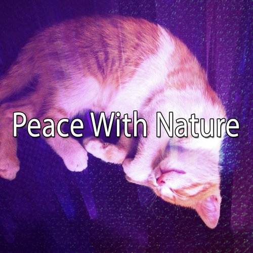 Peace With Nature