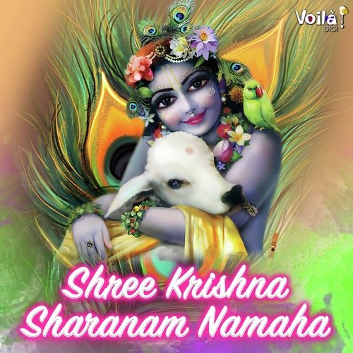 Shree Krishna Sharanam Namaha