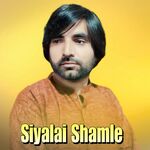 Siyalai Shamle