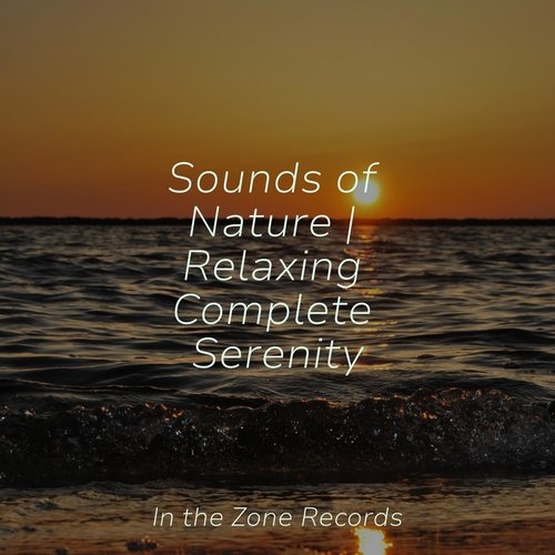 Sounds of Nature | Relaxing Complete Serenity_poster_image