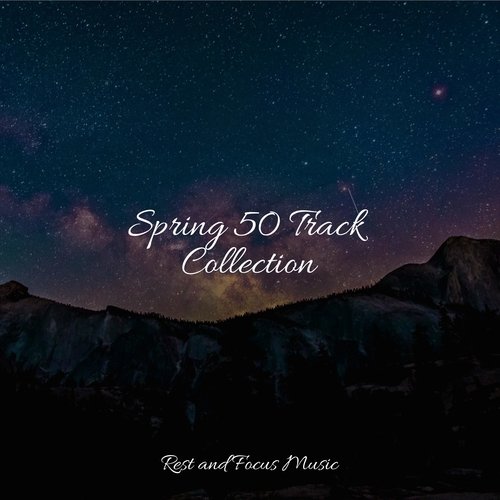 Spring 50 Track Collection