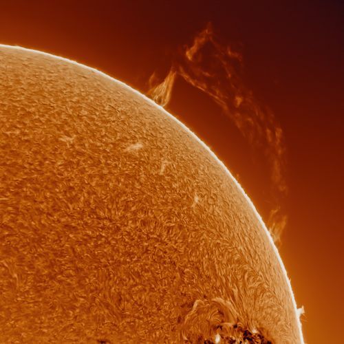 Feder cover art