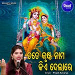 Tate Krushna Nama Kie Dela