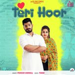 Teri Hoor
