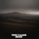 Teri Yaade