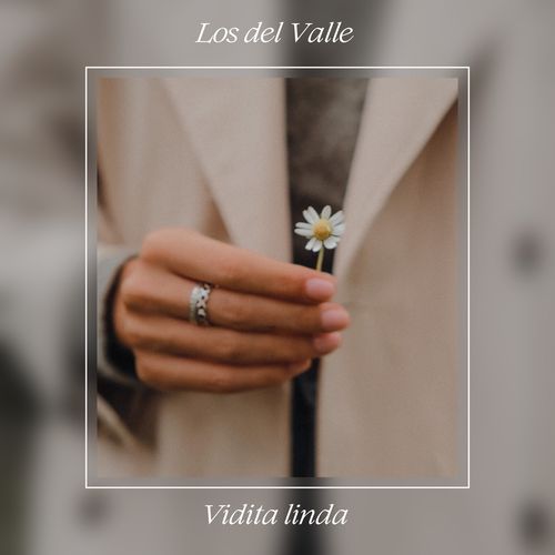 Vidita linda
