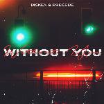 Without You (So There You Go)