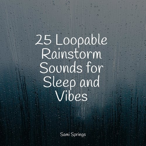 25 Ambient Rain Sounds_poster_image