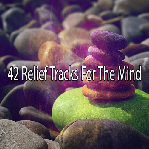 42 Relief Tracks For The Mind