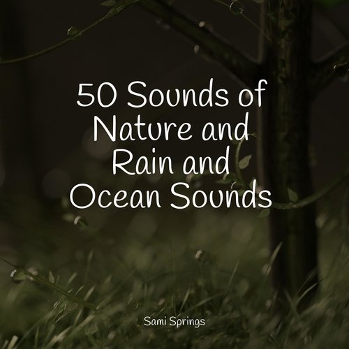 50 Sounds of Nature and Rain and Ocean Sounds_poster_image