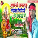 Aasani Lagabalu Maiya Nimiye Ke Chhaiya He