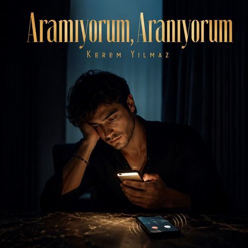 Aramıyorum, Aranıyorum