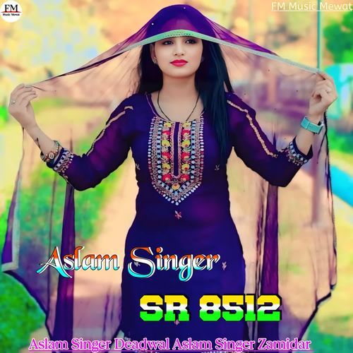 Aslam Singer SR 8512