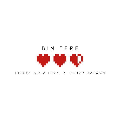 Bin Tere