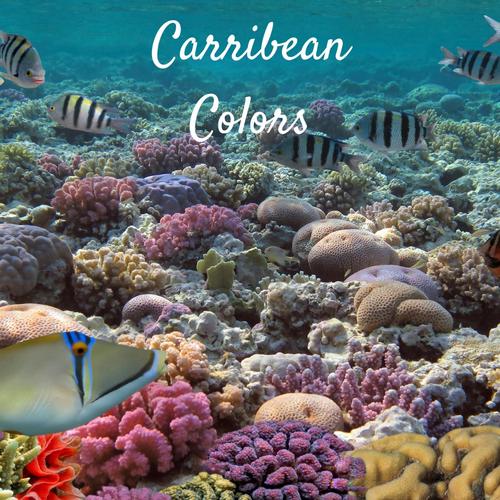 Carribean Colors