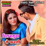 Dil Hasuwa Se Farli
