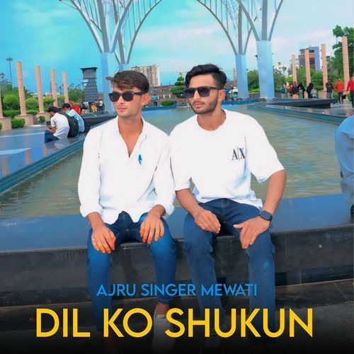 Dil Ko Shukun