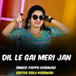 Dil le gai meri jaan