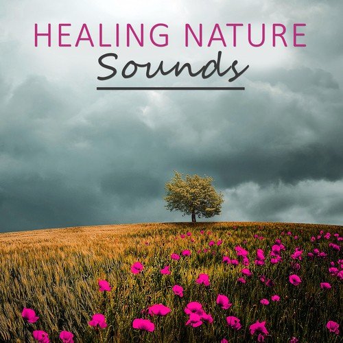 Healing Nature Sounds – Calming Music Therapy,  Feel Calmness & Rest, Soothing Music, Relax, New Age Music