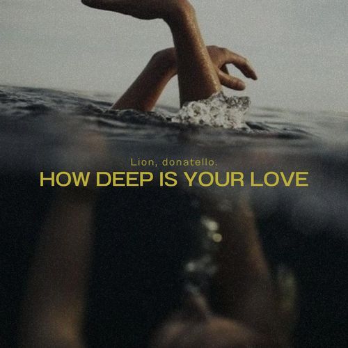 How Deep Is Your Love