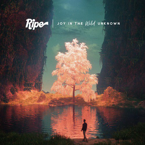 Joy in the Wild Unknown