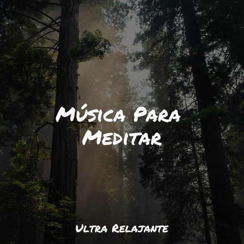 Música Para Meditar